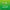 olio-cbd-evo-10-full