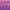 olio-cbn-20