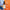 zenia-cbg5-cbd5