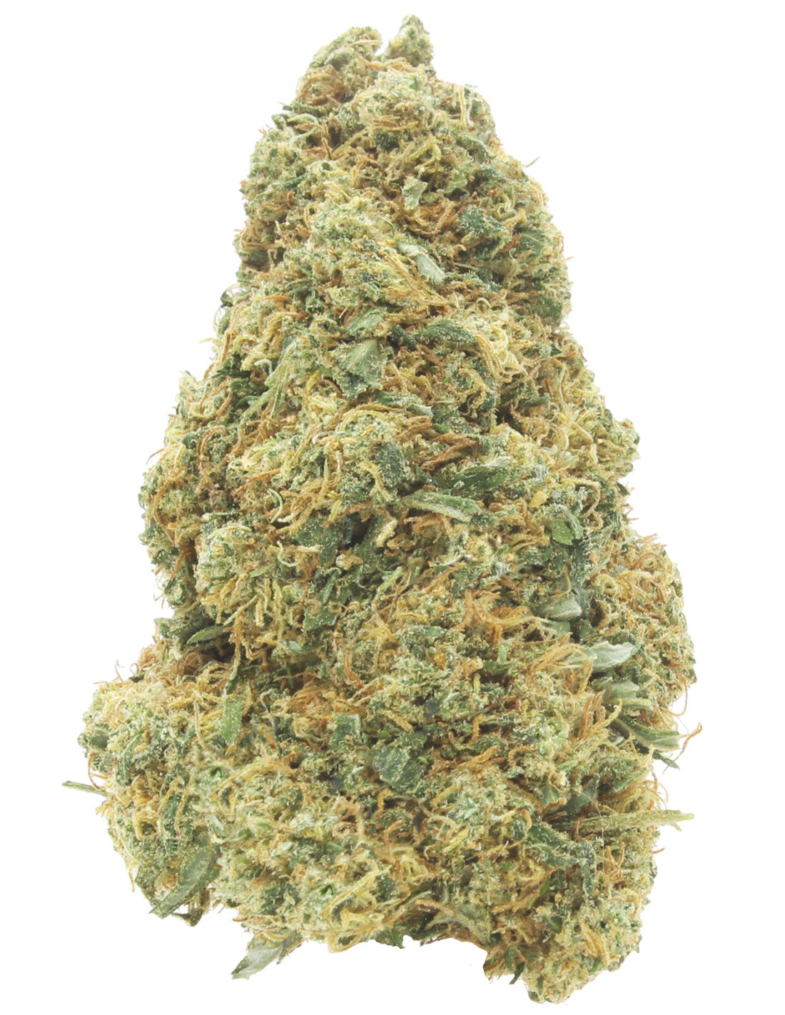 Gelato 41 Indoor