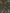 Choco Pongo