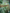 Gelato 41 Indoor