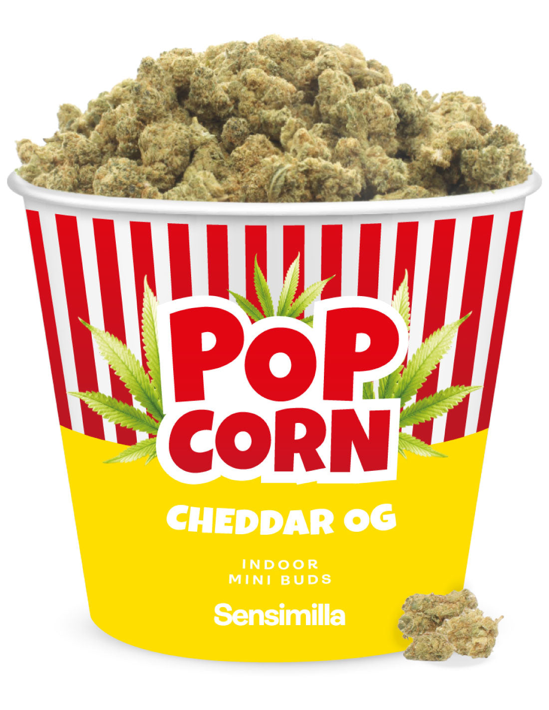 Cheddar Popcorn
