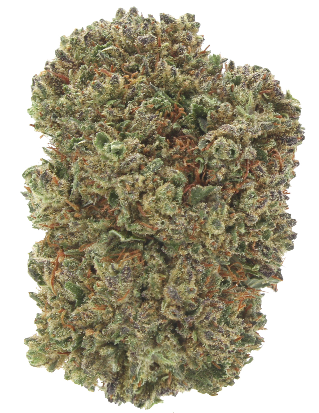 Critical+