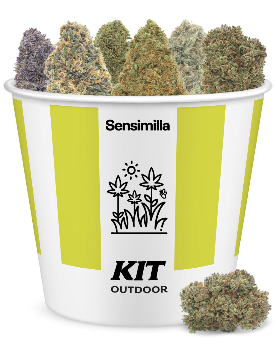 Outdoor Kit - 30g